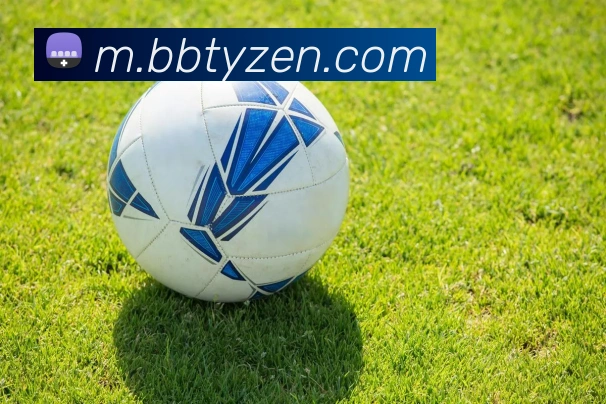 贝博体育APP 封面图